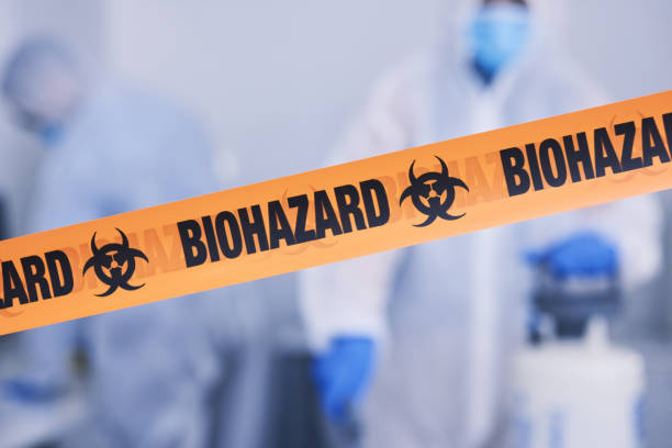 Professional Odor Removal technician working in Port Elizabeth, NJ
